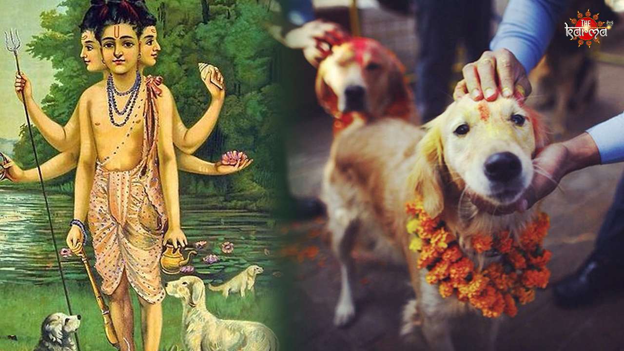 Why Dogs are sacred and important animal in Hindu Dharma?
